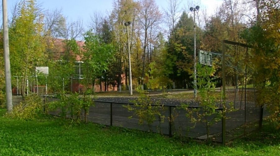 Спорт